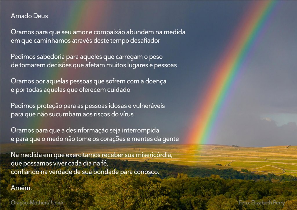 Portal do CEBI