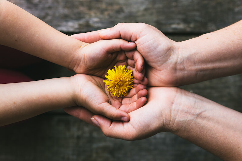 parent and child hands handing flowers PWCMEY6