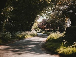 annie spratt i5Vo3DskMxk unsplash