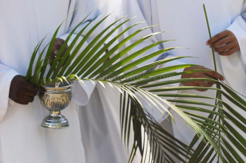 domingo de ramos 3