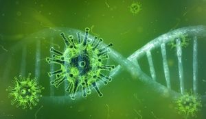 coronavirus 4833754 640