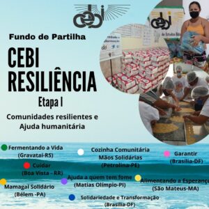 CEBI RESILIENCIA