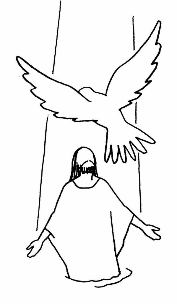 Ilustracao