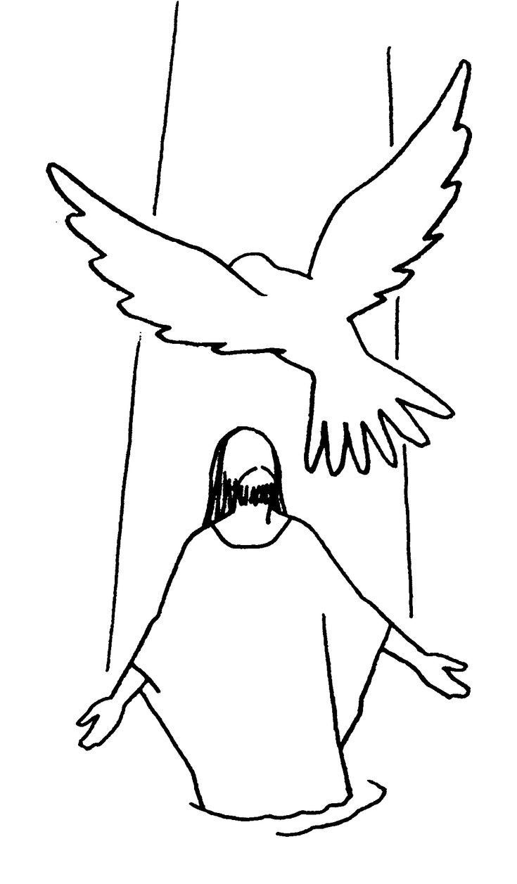 Ilustracao
