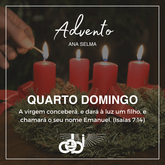 Copia de A LOUCURA DA AVAREZA 8