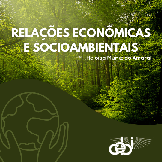 Relacoes Economicas e Socioambientais