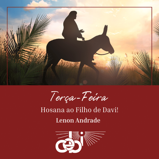 O Frei Jacir de Freitas Faria 10
