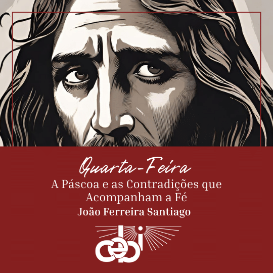 O Frei Jacir de Freitas Faria 13