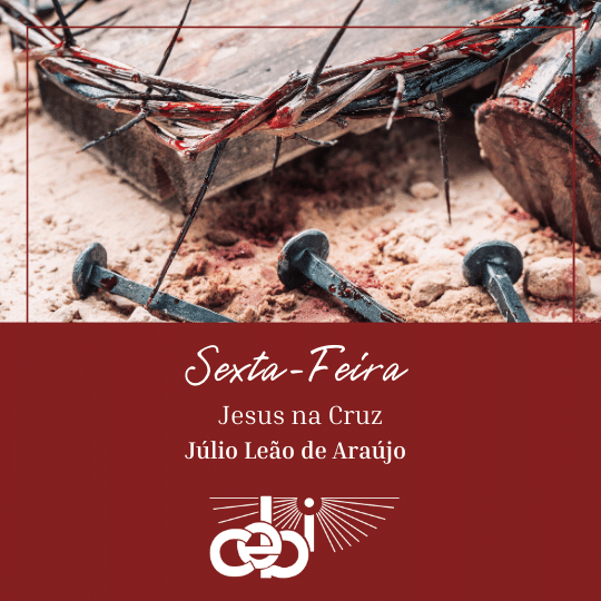 O Frei Jacir de Freitas Faria 21