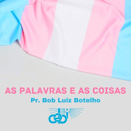As Palavras e as Coisas