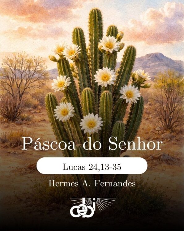 Segunda feira 7