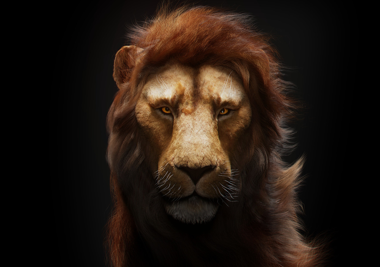 CGMEETUP Lion Renders Aneesh Blender 2.8 by Aneesh Chandra