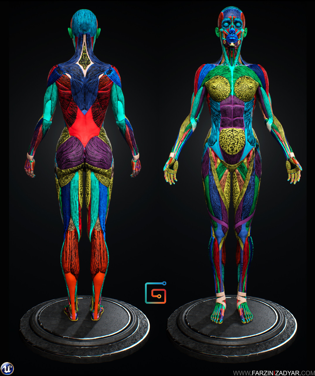 Cgmeetup Female Anatomy Kit By Mahdi Khouei