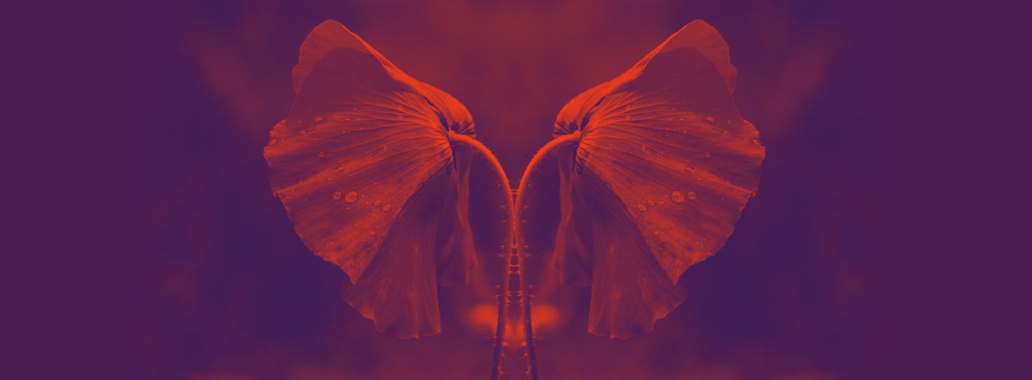 ReflectionBackground1.jpg