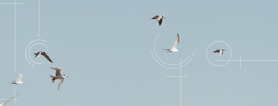 1920-01_January_THE-NOBLE-SPIRIT