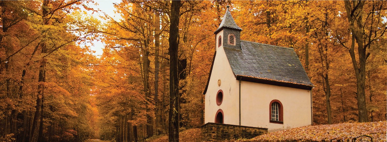 TCS_2025.26_Website-NoLogo_2