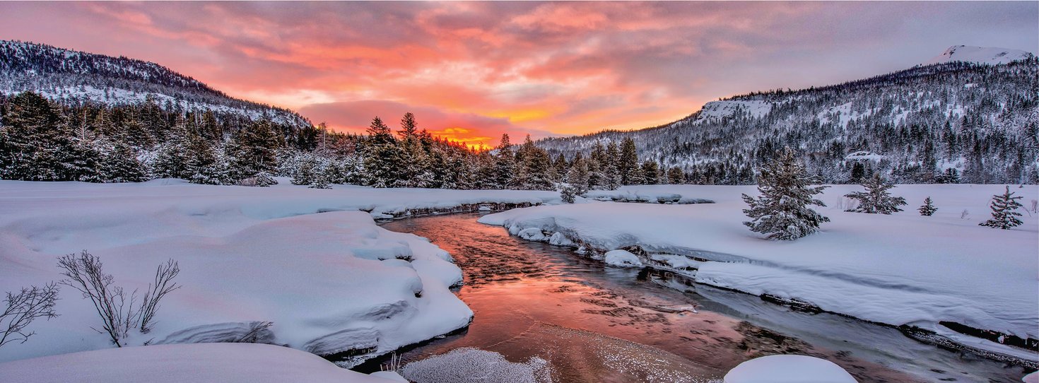 TCS_2025.26_Website-NoLogo_4