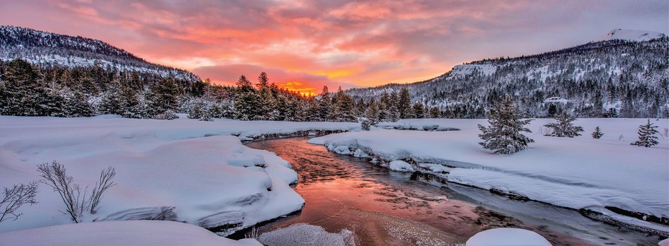 TCS_2025.26_Website-NoLogo_4