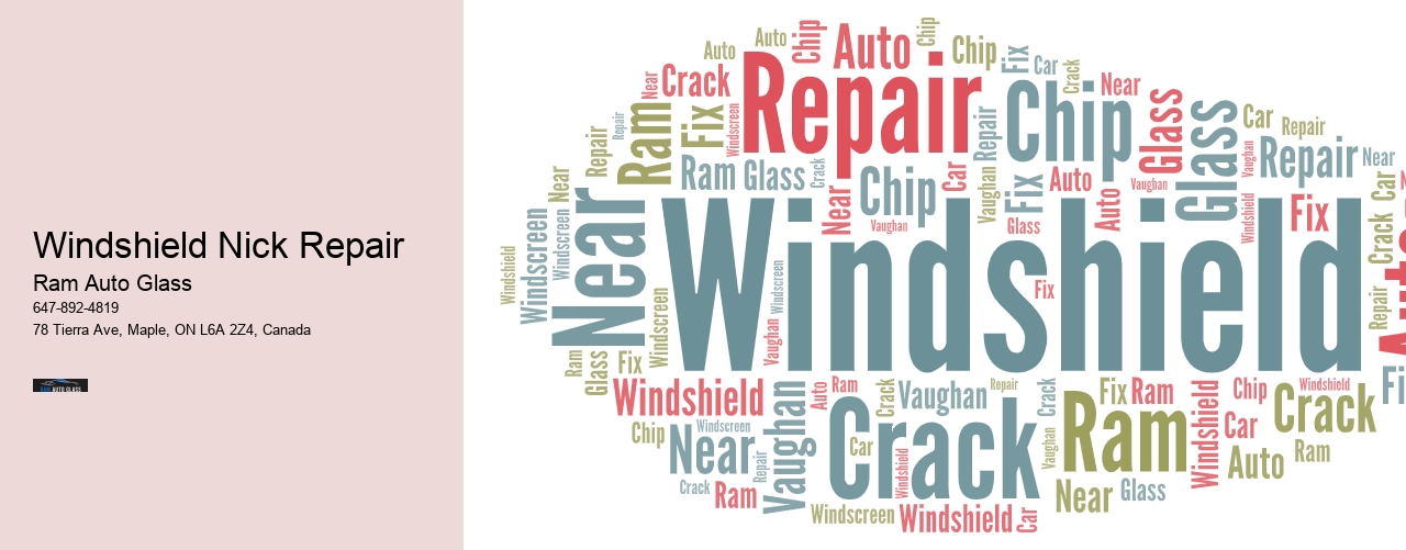 Windshield Nick Repair