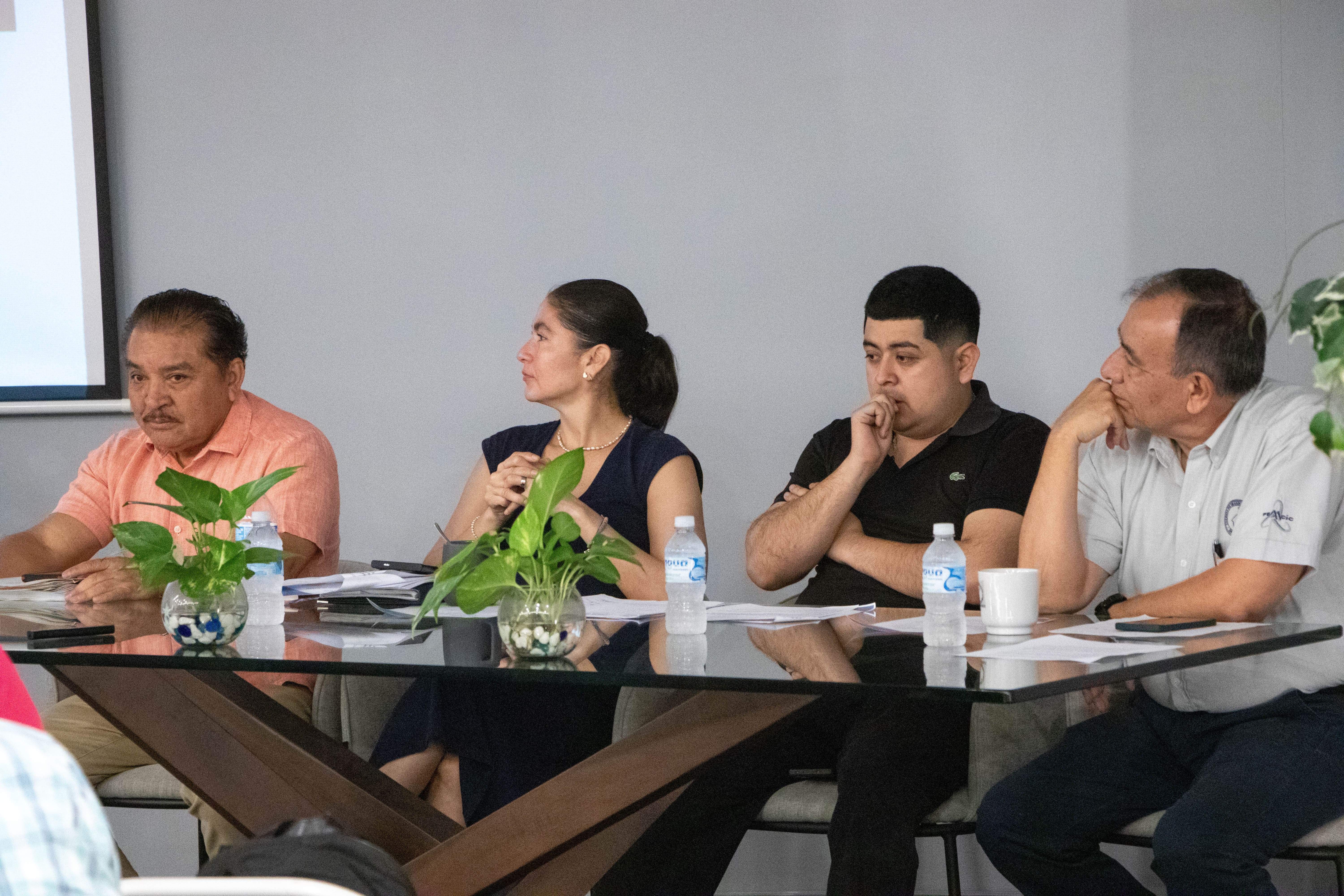 Imagen del artículo