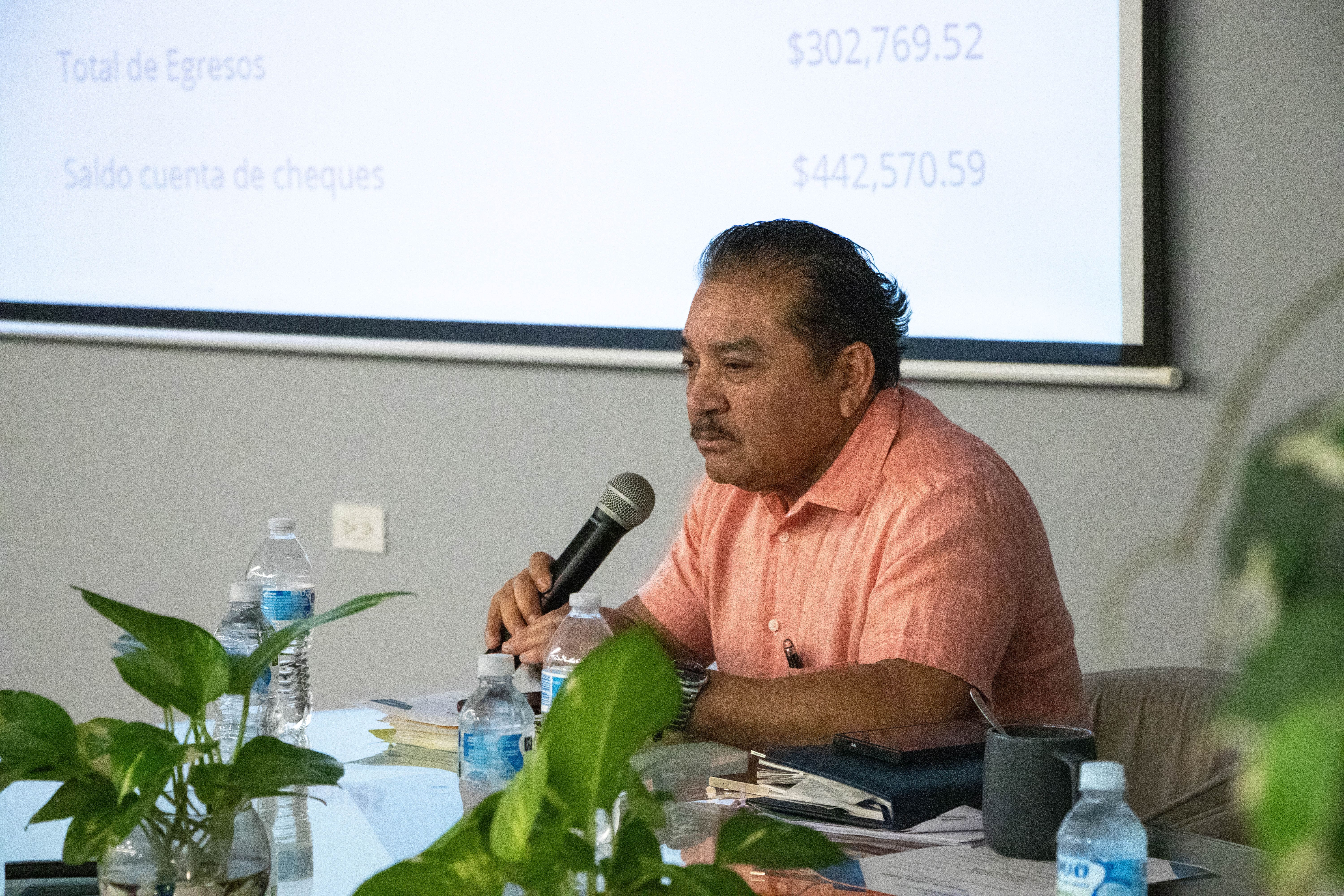 Imagen del artículo