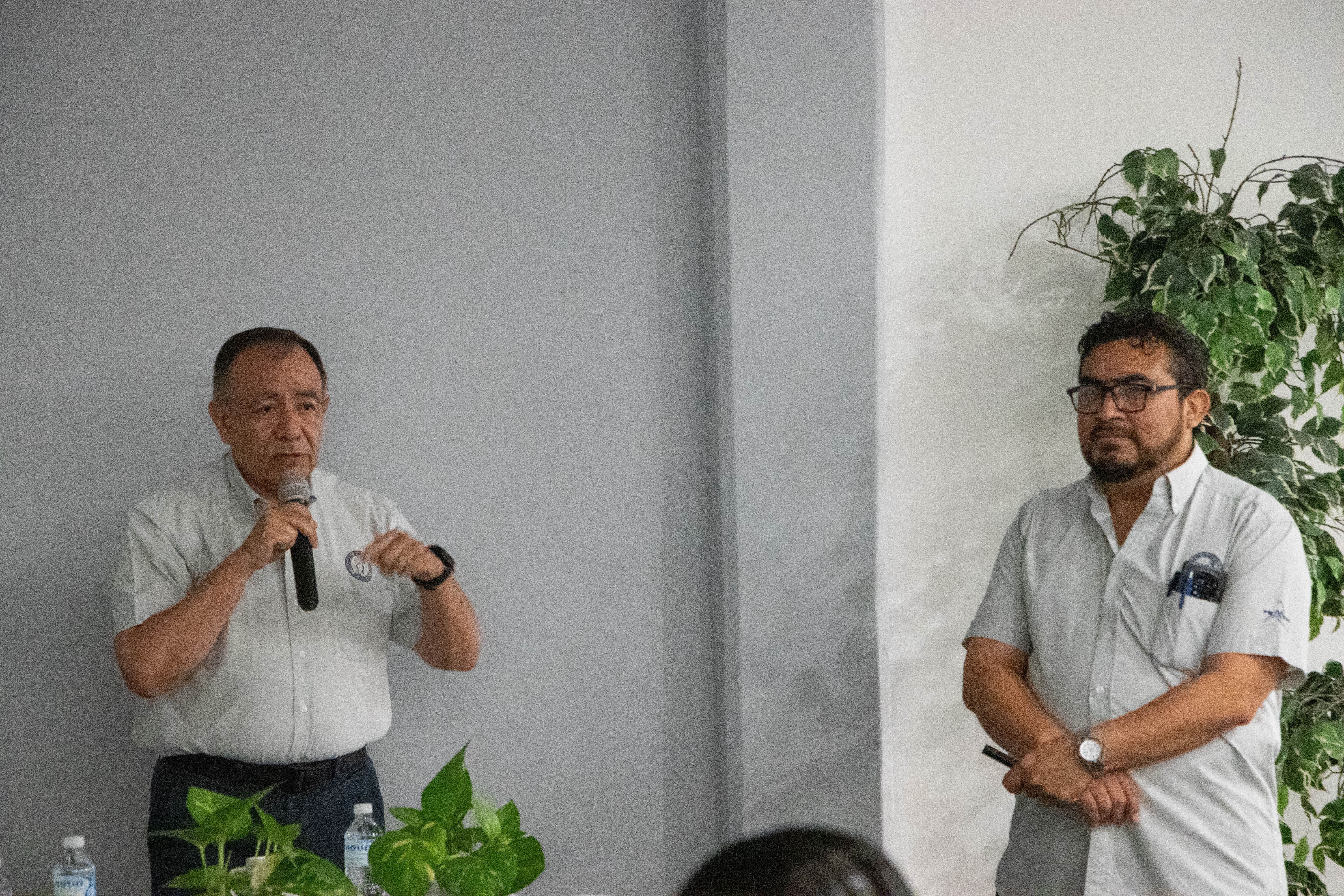 Imagen del artículo