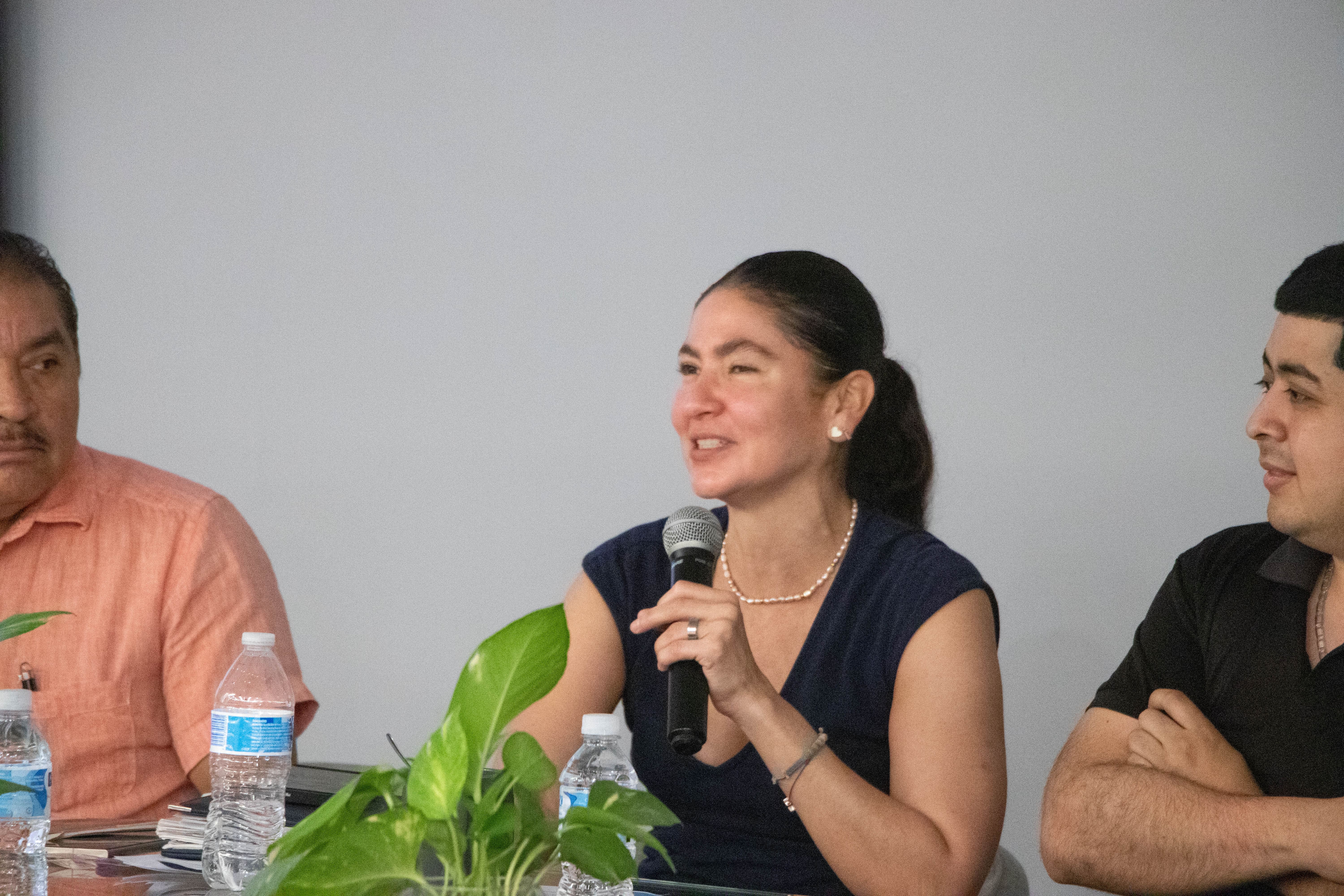 Imagen del artículo