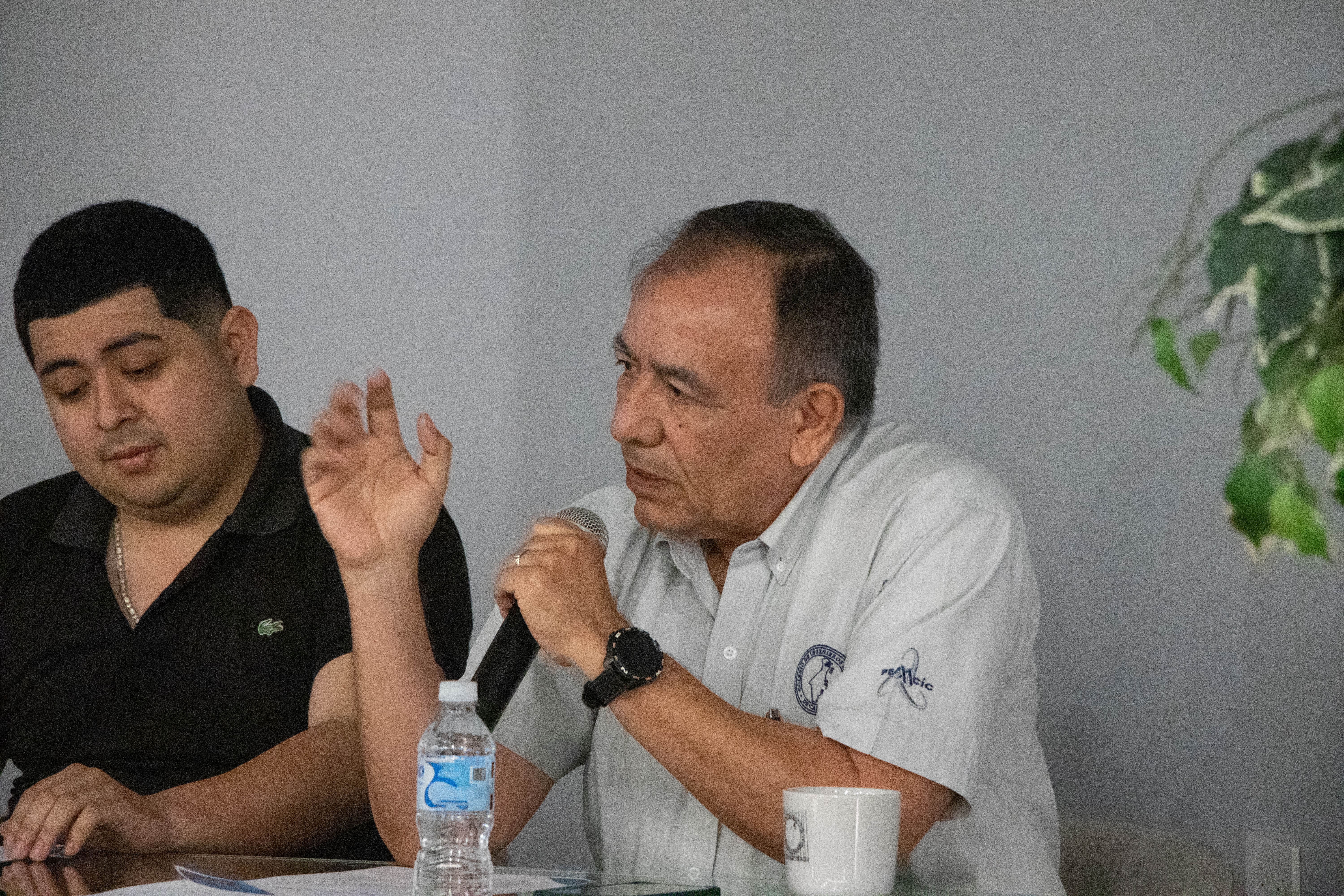 Imagen del artículo