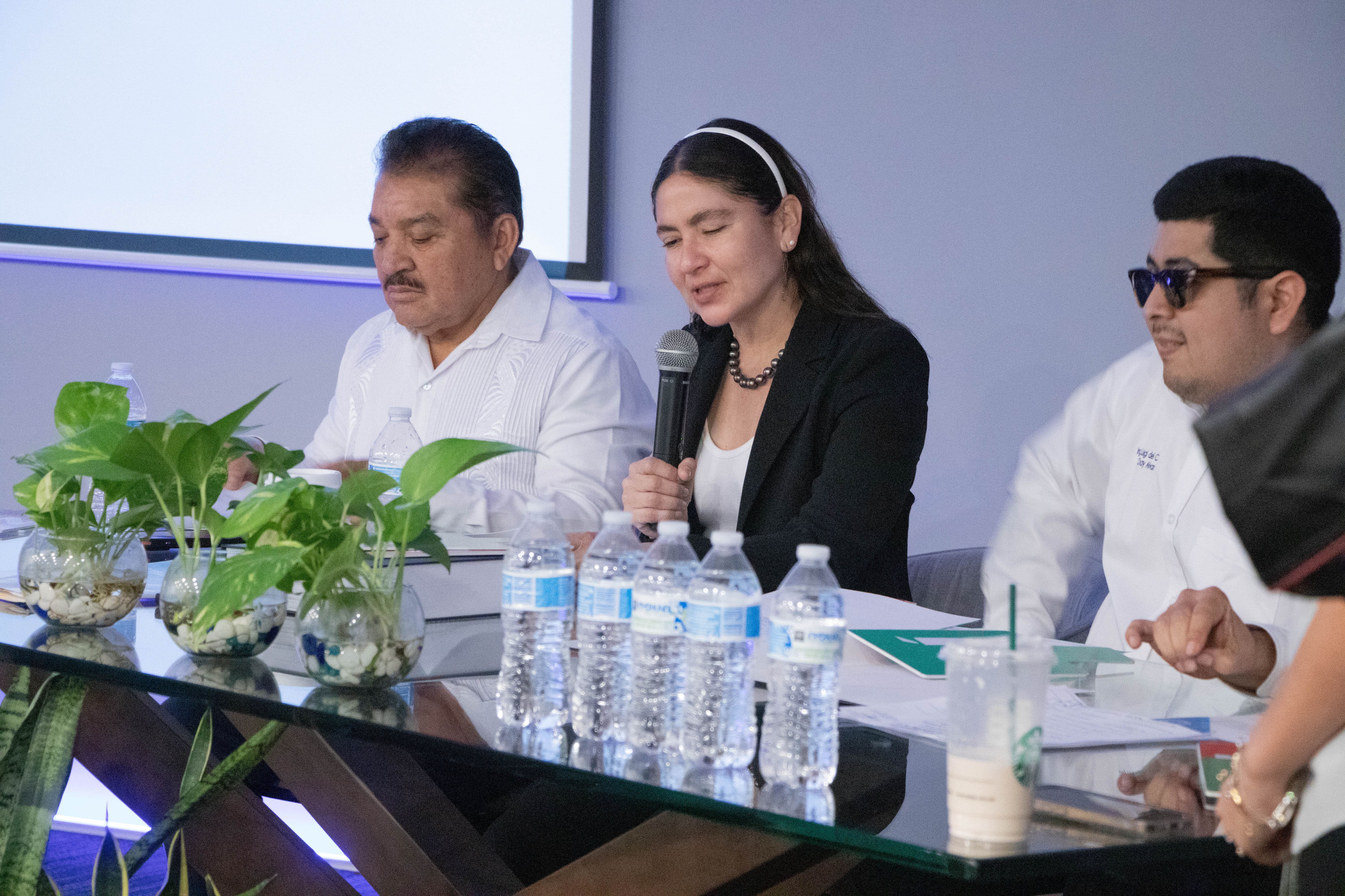 Imagen del artículo