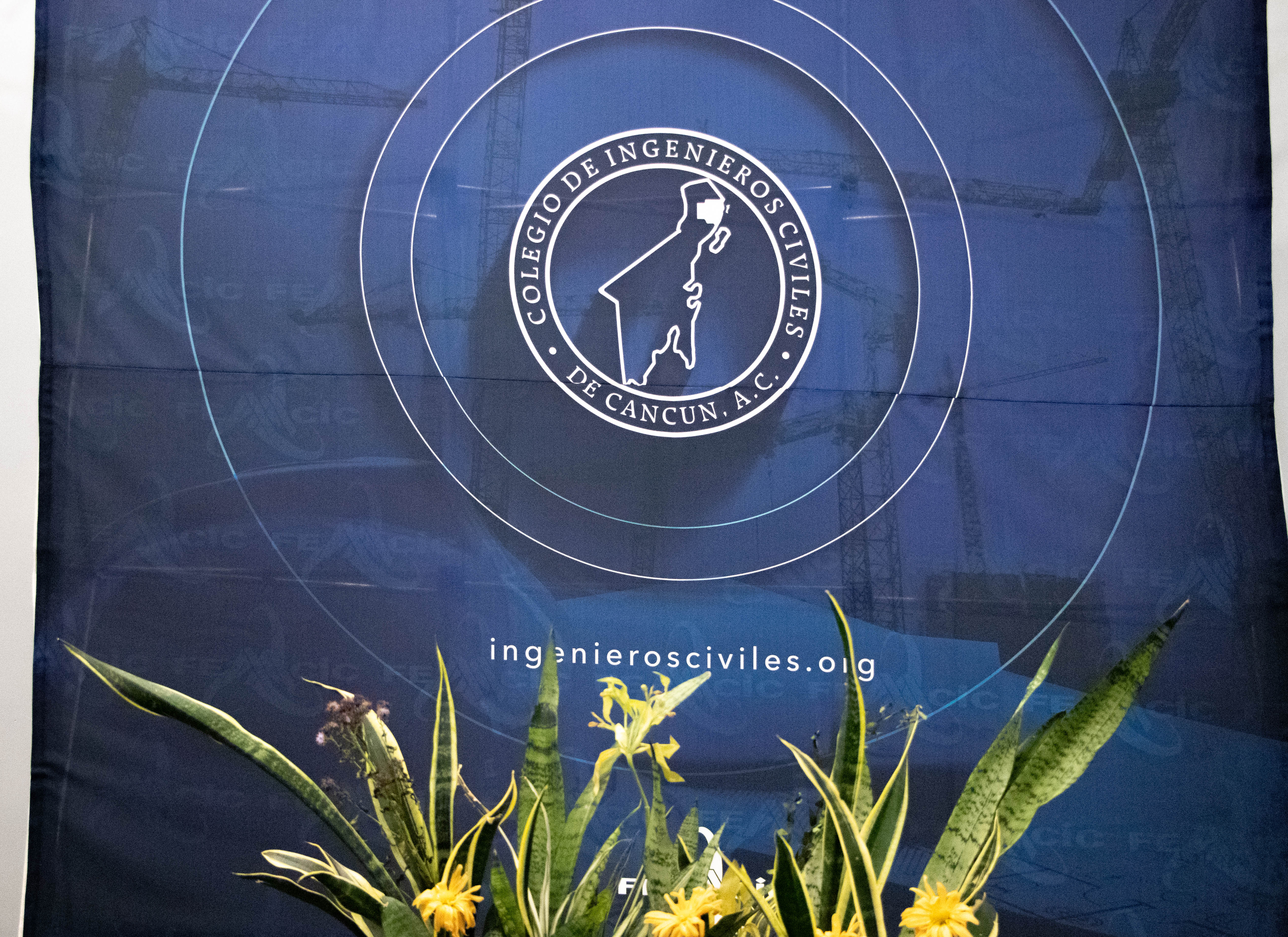 Imagen del artículo