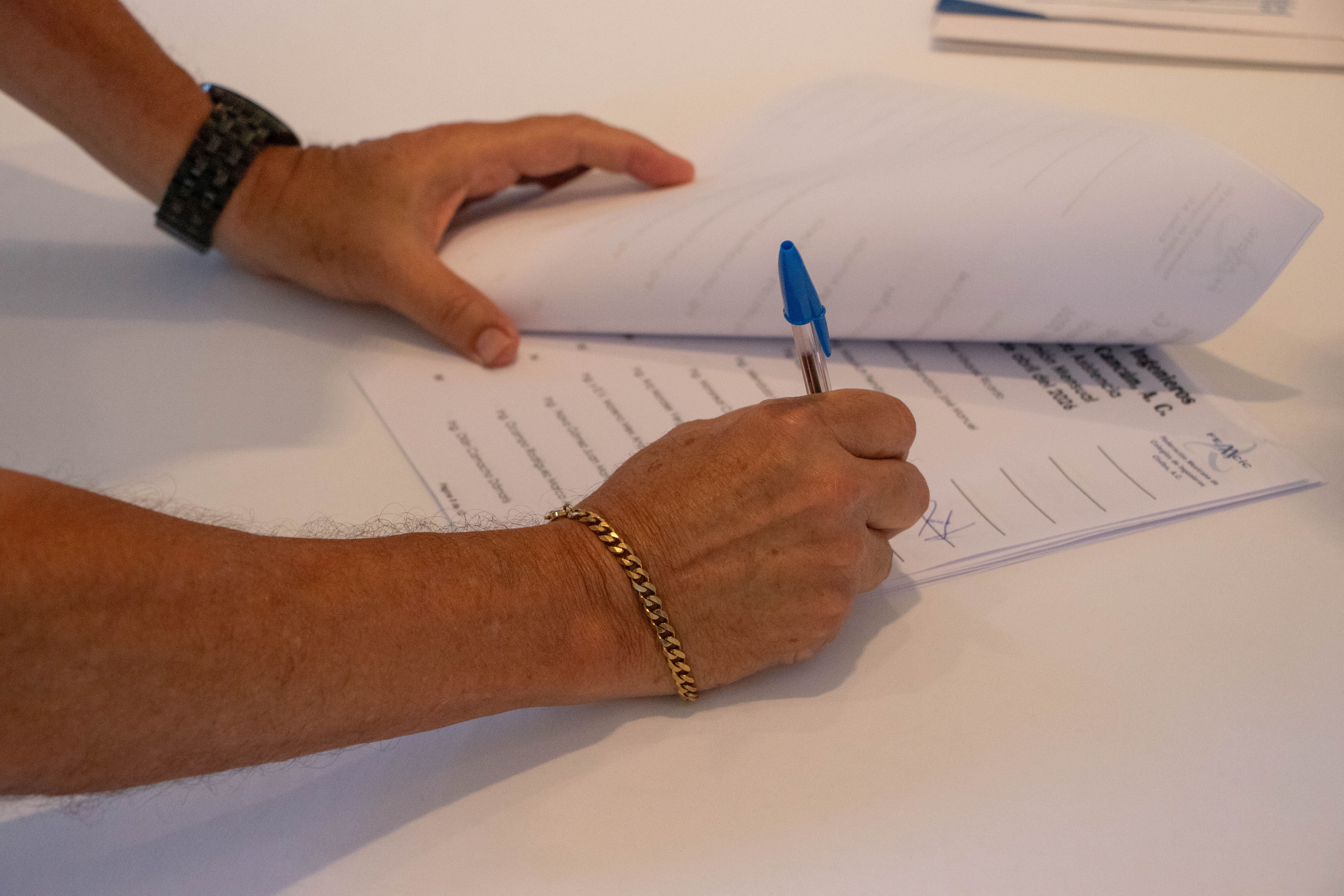 Imagen del artículo