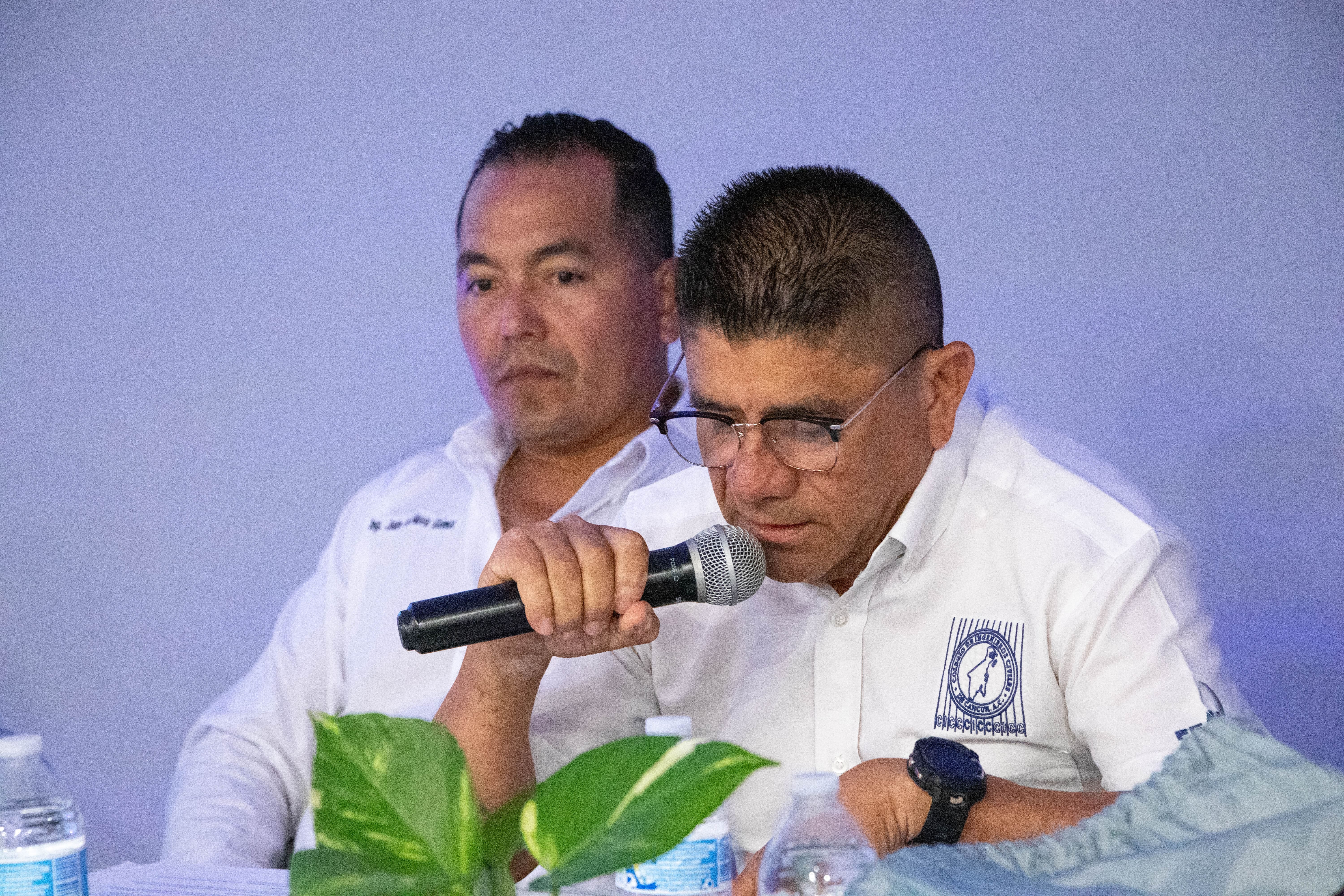 Imagen del artículo