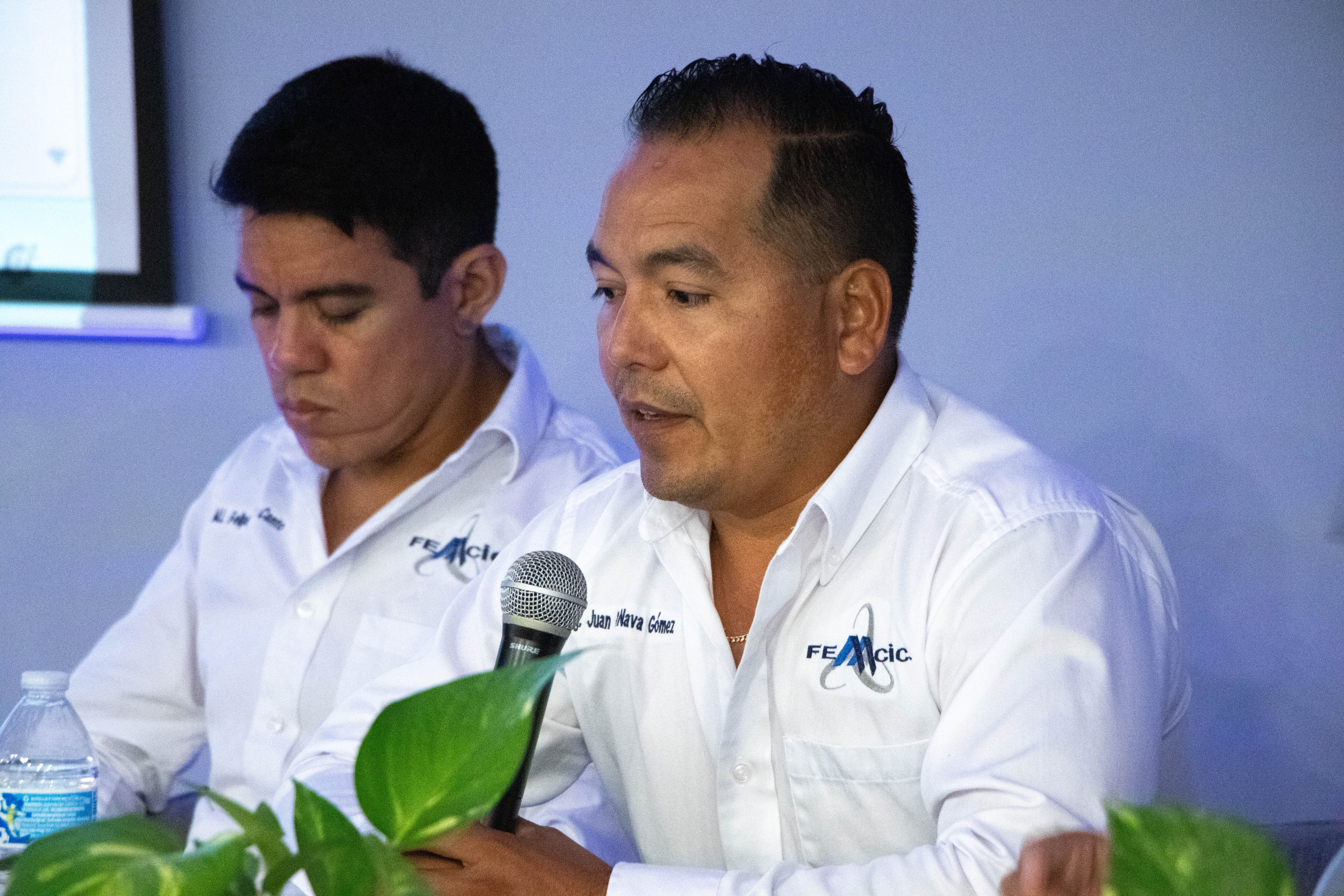 Imagen del artículo