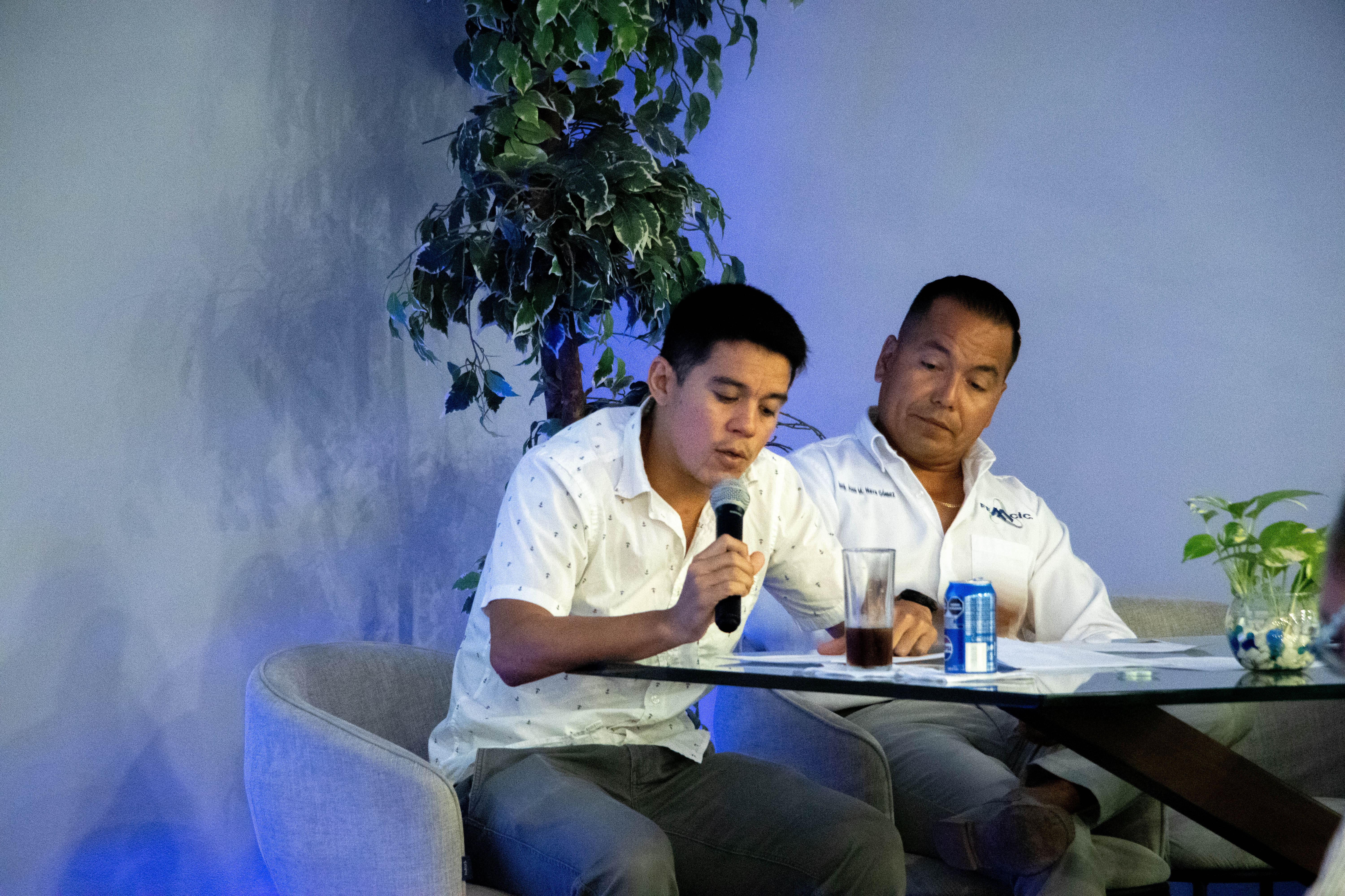 Imagen del artículo