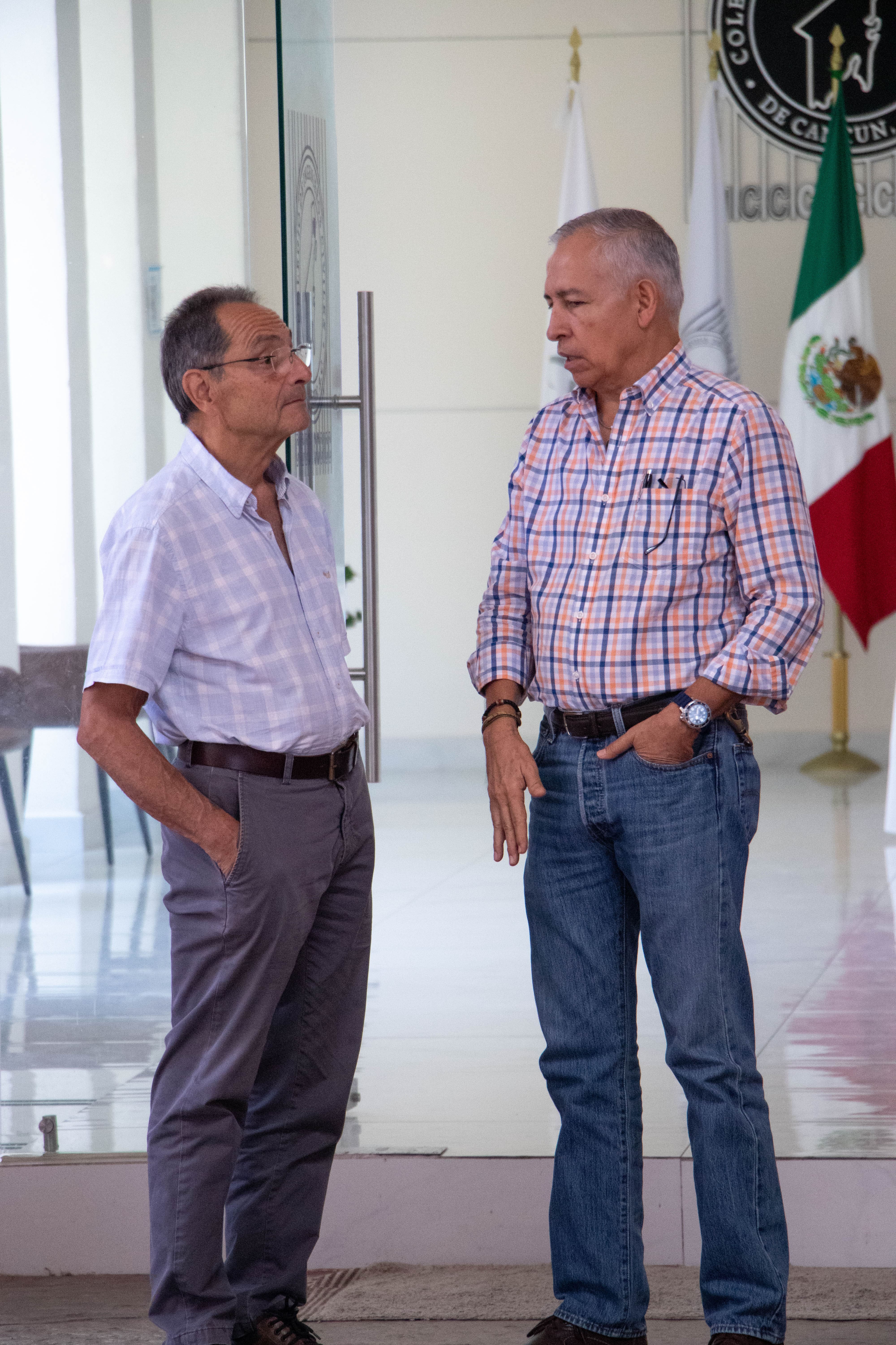 Imagen del artículo