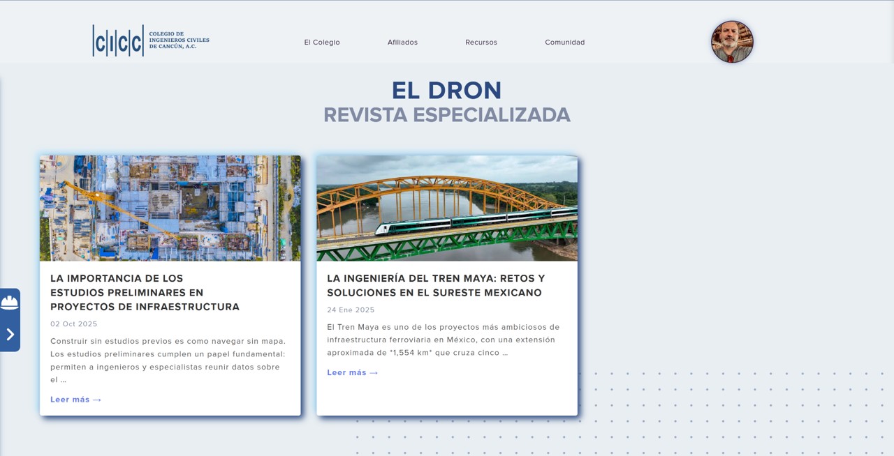 Captura de la sección de Peritos Responsables de Obra con directorio profesional