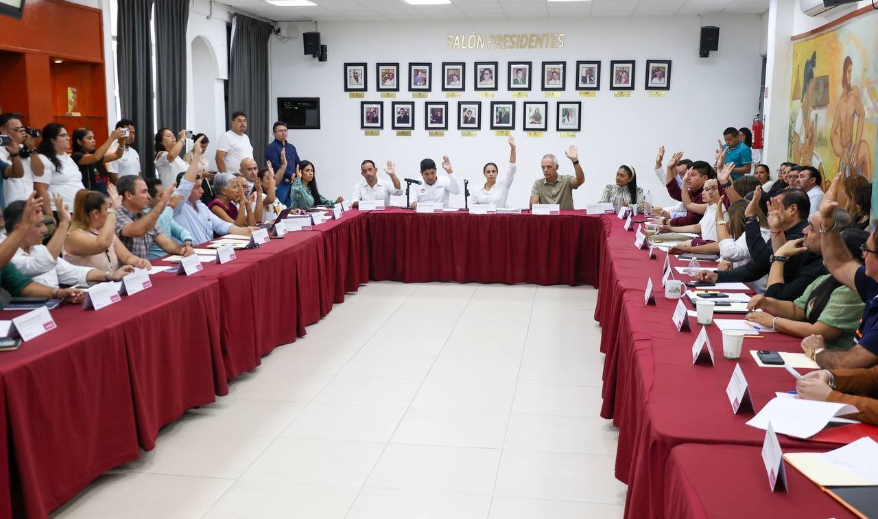 Voz Del Consejo: Representando La Ingeniería Civil En COPLADEMUN