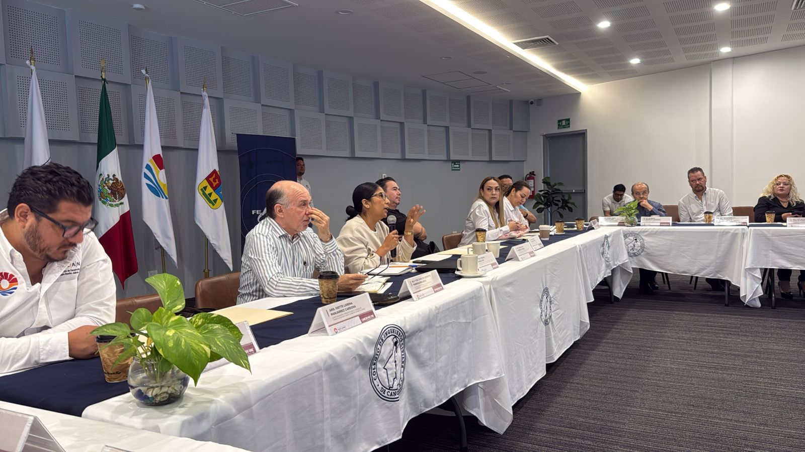 Construyendo Excelencia: El Colegio en la Mesa de Valuos Catastrales