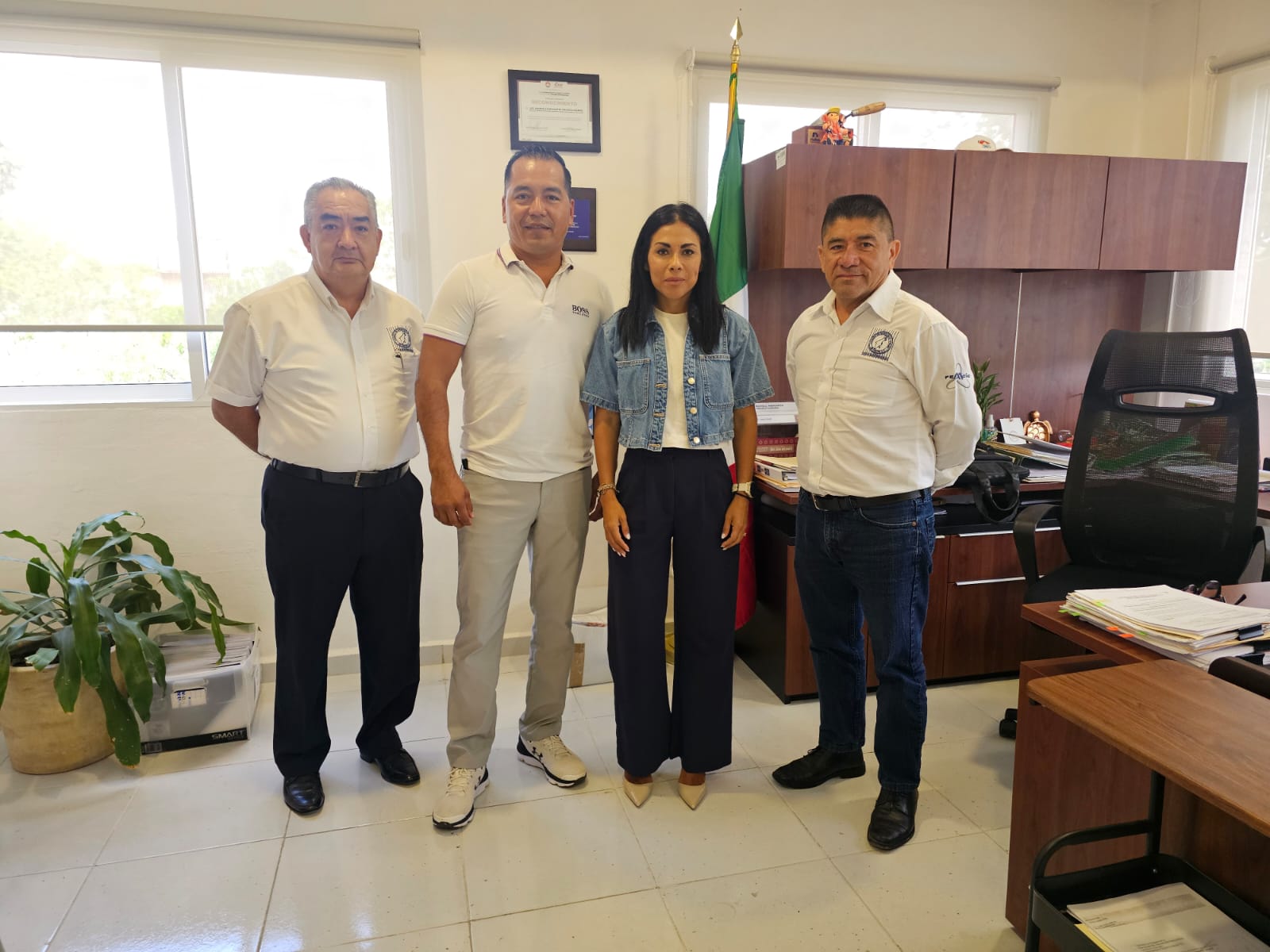 Imagen del artículo