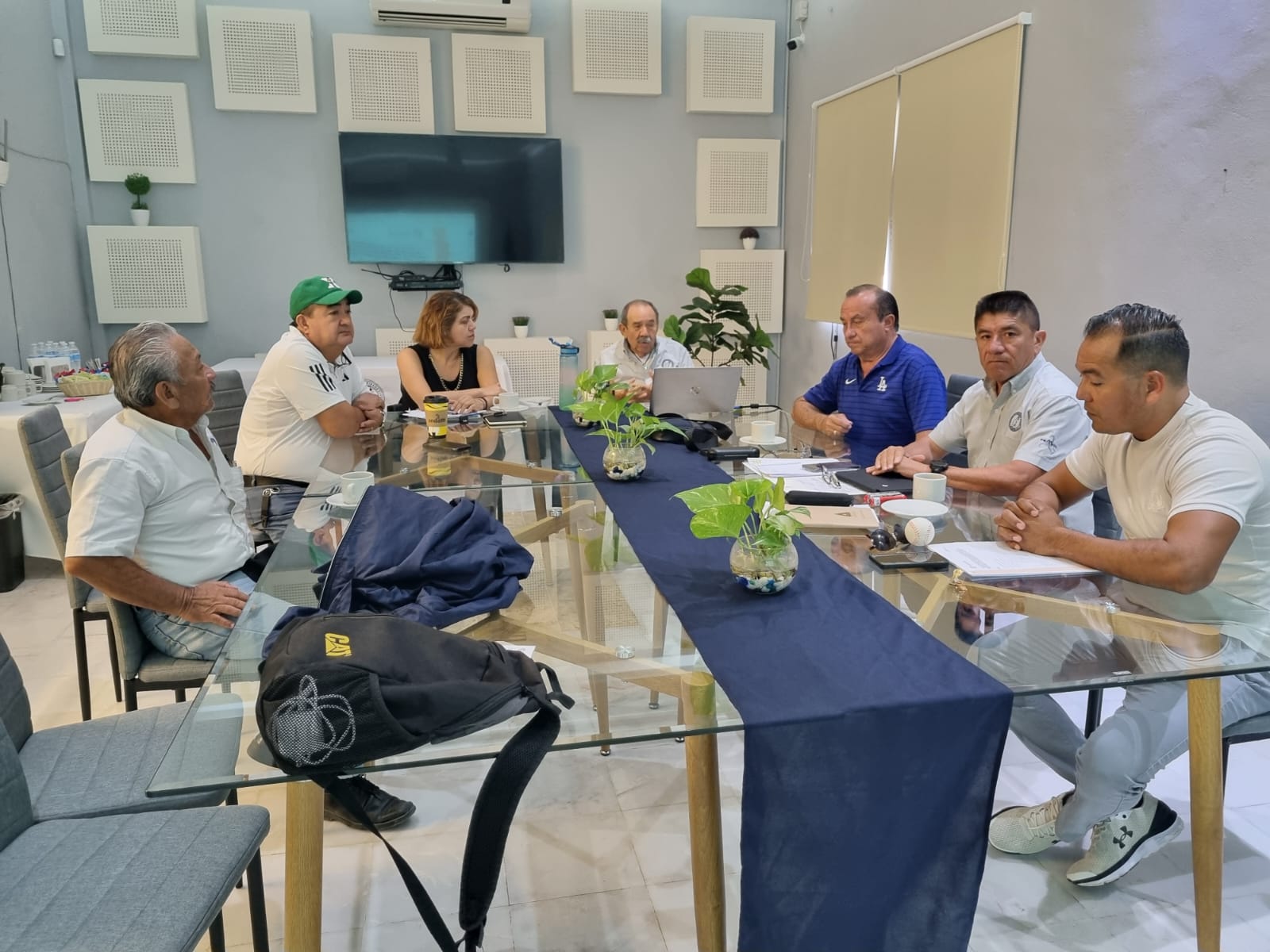 Imagen del artículo