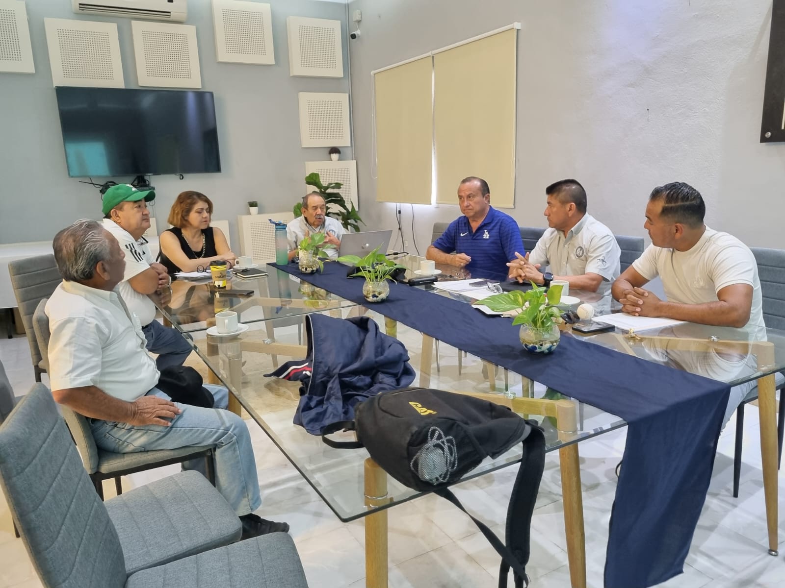 Imagen del artículo