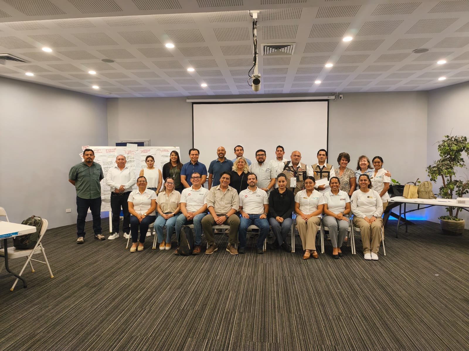 Imagen del artículo