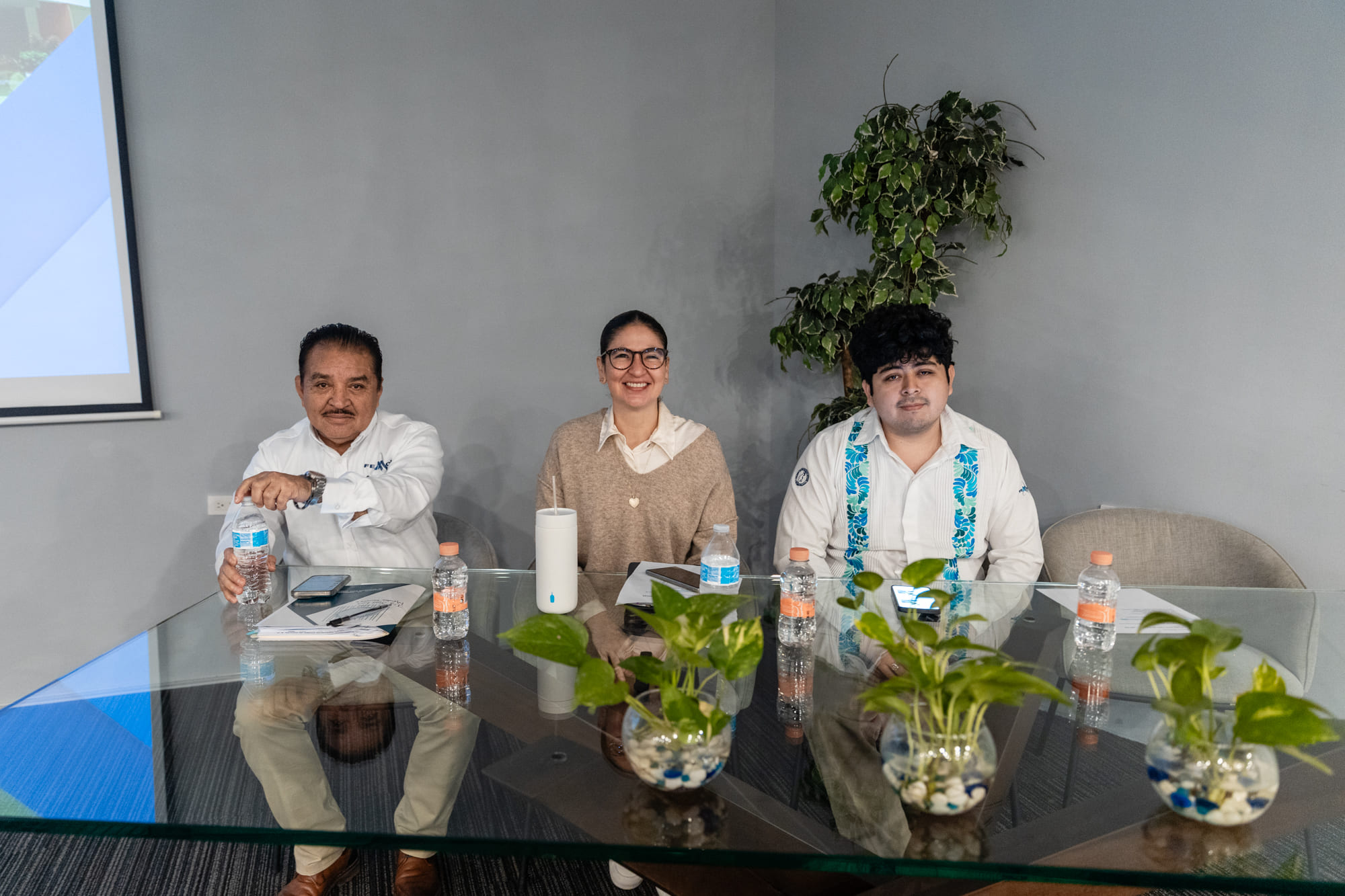 Imagen del artículo