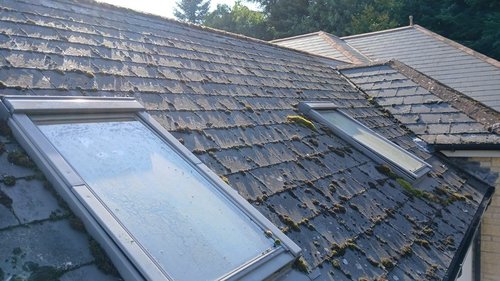 Customer Feedback Integration Systems