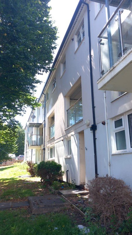 UV Damage and Moth Activity