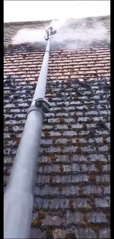 Natural Surfactants and Detergents