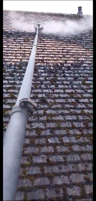 Compliance Training & Development