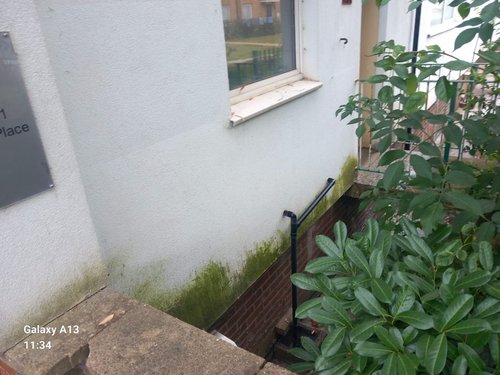 Effectiveness vs Traditional Chemicals