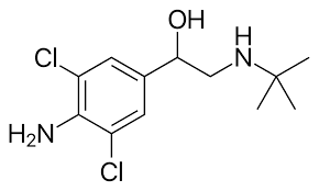 clenbuterol 30 day results