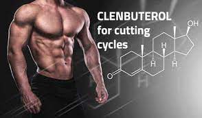 using clenbuterol to lose weight